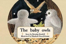 Image for The baby owls