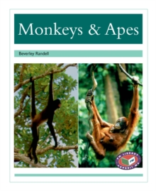 Image for Monkeys & Apes
