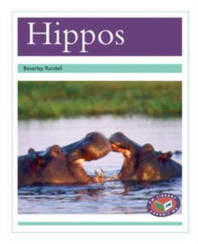 Image for Hippos