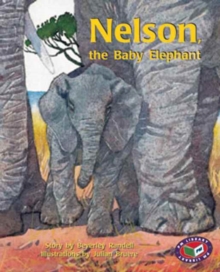 Image for Nelson, the baby Elephant