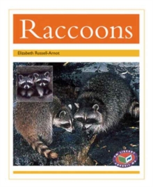 Image for Raccoons