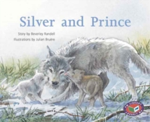 Image for Silver and Prince