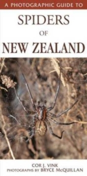 Image for A photographic guide to spiders of New Zealand