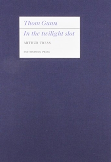 Image for In the Twilight Slot