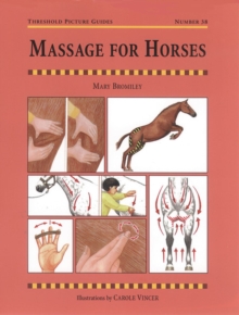 Image for Massage for Horses