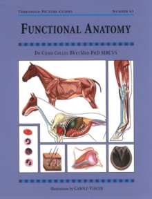 Image for Functional Anatomy