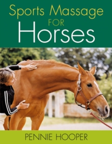 Image for Sports massage for horses