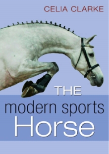 Image for Warmblood Influences on the Modern Sports Horse