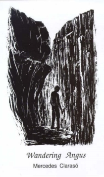Image for Wandering Angus  : a Kintalloch novel