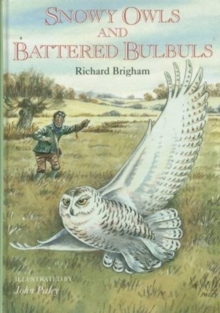 Image for Snowy owls and battered bulbuls
