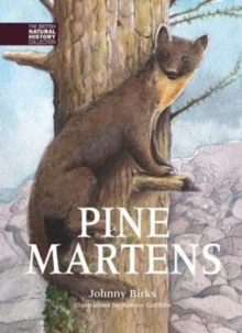 Image for Pine Martens