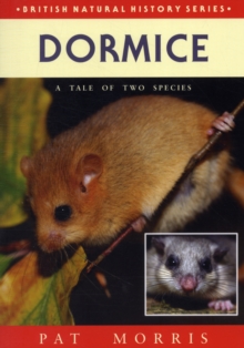 Image for Dormice : A Tale of Two Species