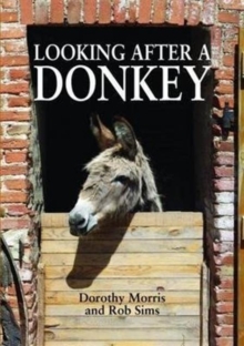 Image for Looking After a Donkey