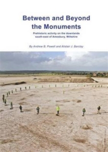 Image for Between and Beyond the Monuments