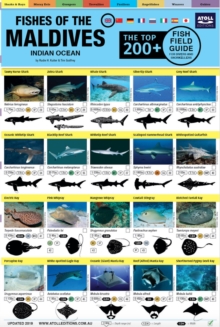 Image for Maldives Fish Field Guide "Top 200+"