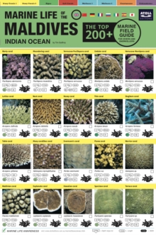 Maldives Marine Life Field Guide: “Top 200+”