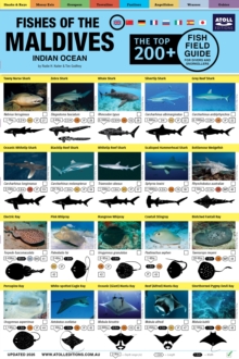 Image for Maldives Fish Field Guide "Top 200+"