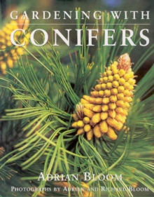 Image for Gardening with Conifers