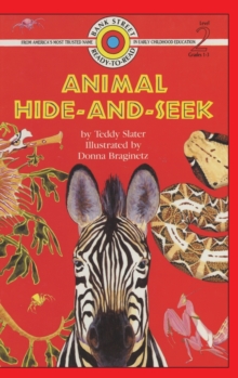 Image for Animal Hide and Seek