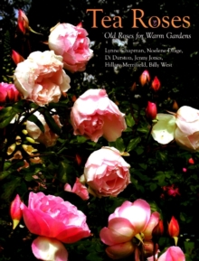 Image for Tea roses  : old roses for gardens in the sun