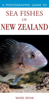 Image for Photographic Guide To Sea Fishes Of New Zealand