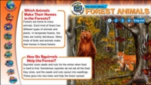 Image for Forest Giants