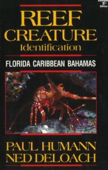 Image for Reef Creature Identification