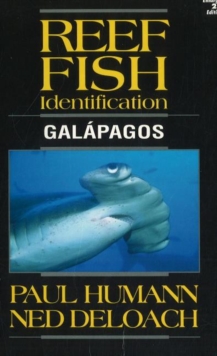 Image for Reef Fish Identification : Galapagos