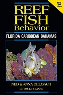 Image for Reef Fish Behavior