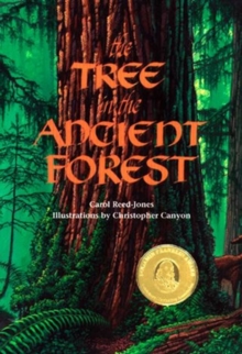 Tree in the Ancient Forest