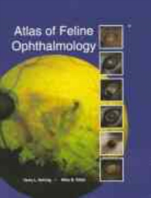 Image for Atlas of Feline Ophthalmology