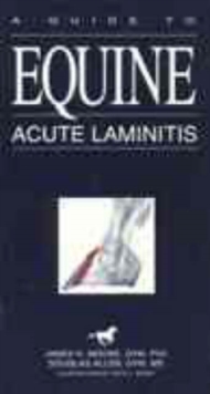 Image for A Guide to Equine Acute Laminitis