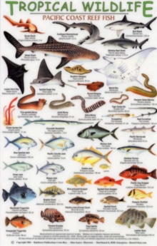 Image for Pacific Coast Reef Fish