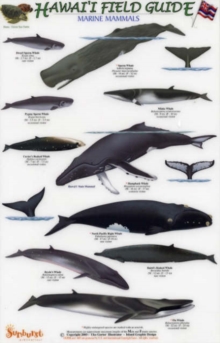 Image for Marine Mammals