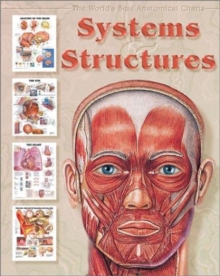 Image for Systems Structures Chart