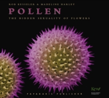 Image for Pollen : The Hidden Sexuality of Flowers