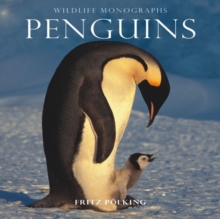 Image for Penguins