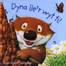 Image for Dyna Lle'r Wyt Ti