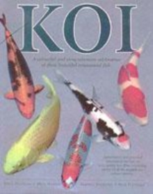 Image for Koi  : a colourful and comprehensive celebration of these beautiful ornamental fish