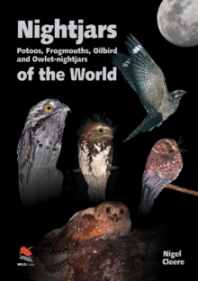 Nightjars, Potoos, Frogmouths, Oilbird, and Owlet–nightjars of the World