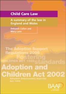 Image for Child Care Law