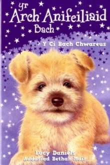 Image for Cyfres yr Arch Anifeiliaid Bach: Y Ci Bach Chwareus