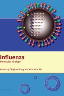 Image for Influenza