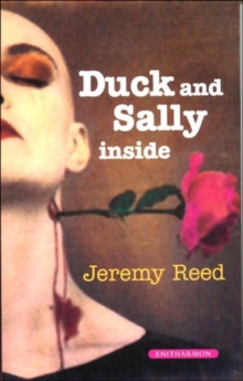 Image for Duck and Sally on the Inside