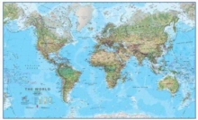 Image for World environmental wall map