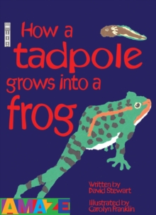 Image for How A Tadpole Grows Into A Frog
