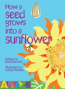 Image for How a seed grows into a sunflower