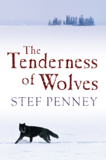 Image for The tenderness of wolves
