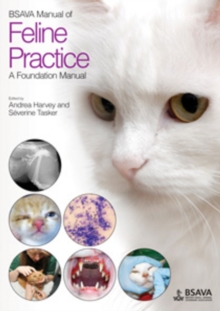 Image for BSAVA manual of feline practice  : a foundation manual