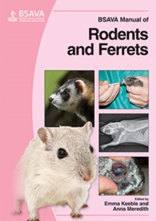 Image for BSAVA manual of rodents and ferrets